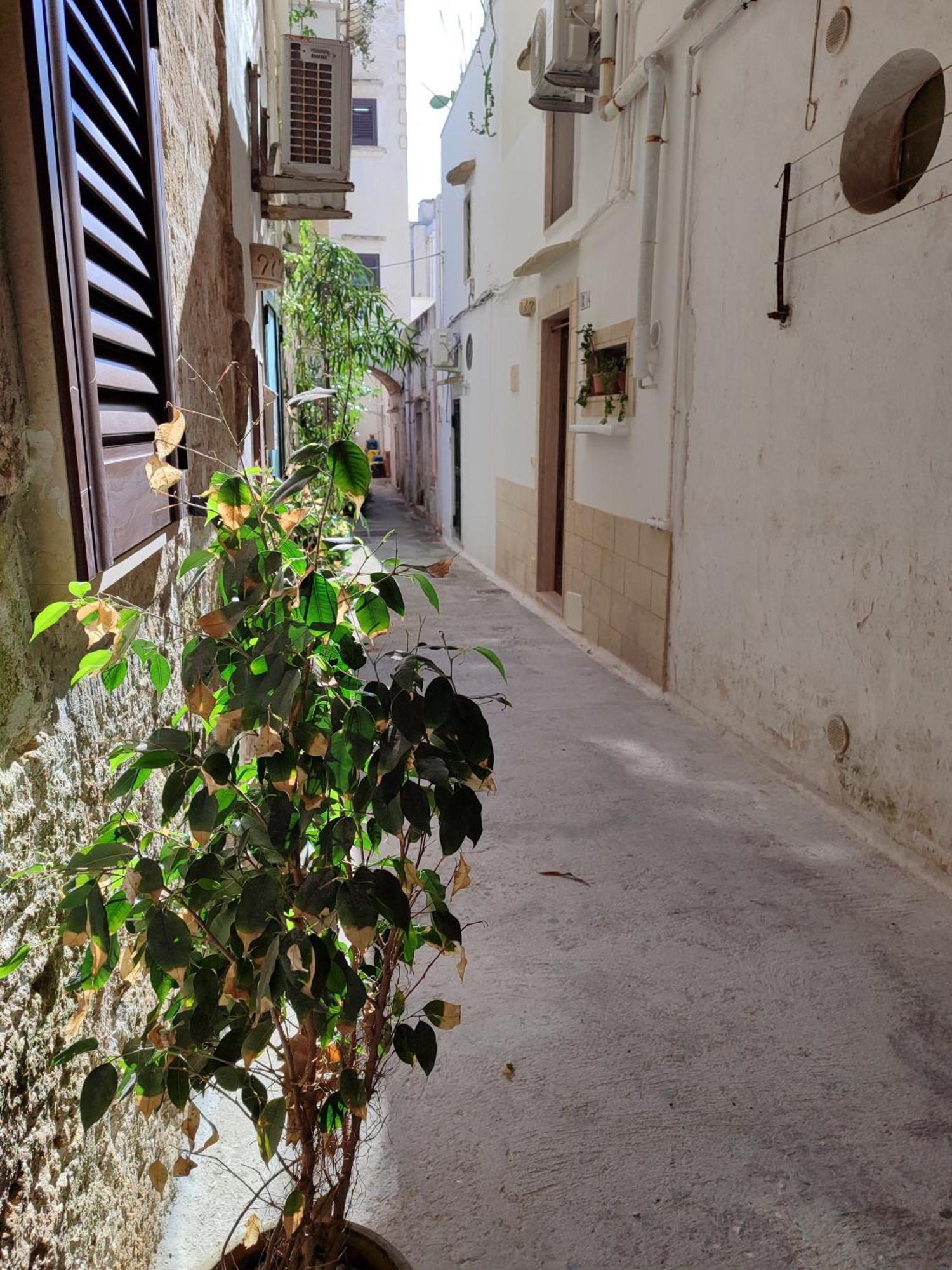 B&B Punta Cutieri Gallipoli Eksteriør bilde