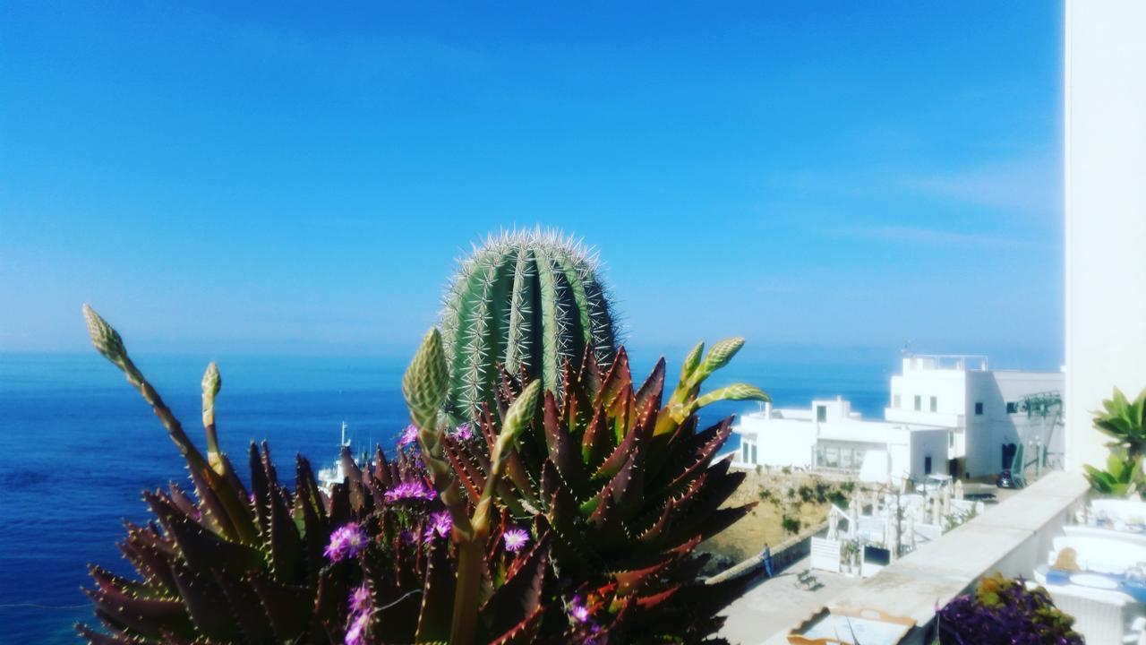 B&B Punta Cutieri Gallipoli Eksteriør bilde
