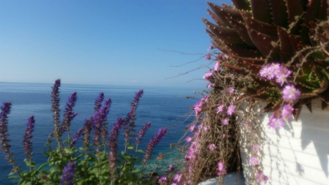B&B Punta Cutieri Gallipoli Eksteriør bilde